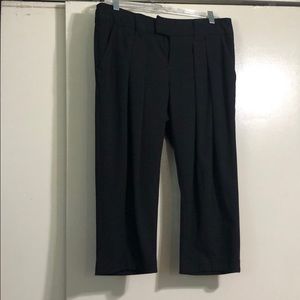 Anthropologie Cindra Pleated Gaucho Pants